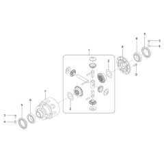 Differential Gear Assembly