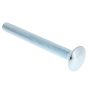 Carriage Bolt - M10 x 100mm for Belle Porto Screeds - 00.0.868