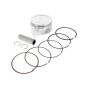 Piston Set for Stihl - OEM No. 0002 007 1009