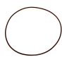 Large O Ring for Daishin Hilta SCR50 2" Pump - 0002522