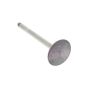 Exhaust Valve For A Mag 1040 SRL Engine - 0243 049