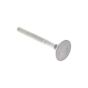 Exhaust Valve For A Mag 1017 SRL Engine - 0243 090