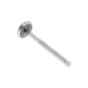 Exhaust Valve For A Mag 1017 SRL Engine - 0243 090