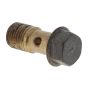 Banjo Bolt fits Zenith 24T Carburettor on JAP and Villiers Engines - 06098