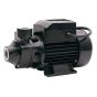 SIP EP2M Electric Surface Water Pump