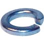 Assorted Spring Washers Sizes: M5-M16