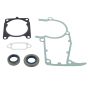 Set Of Gaskets for Stihl MS241C Chainsaws - 1143 007 1600