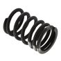 Spring Valve for Yanmar L90AE Engine - 114699-11120