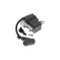 Ignition Module for Stihl MS 212C-BE, MS 182, MS 182C-BE, MS 212 Chainsaws - OEM No. 1148 400 1305