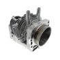 Cylinder Complete for Honda GXV530U (GJAEK), GCV520 (GJAKM) Engines - 12100-Z0A-406