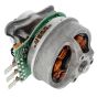 Electric Motor for Stihl MSA160T Battery Chainsaw - OEM No. 1252 600 0200