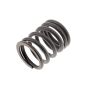 Spring, Valve for Honda GD320 (GPB), GD321 (GPAD), GD411 (GPAC) Engines - OEM No. 14751 ZG3 003