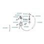 Ignition System for Husqvarna 165 BT