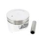 Piston Kit for Kohler CH395, CH395TF Engines - OEM No. 17 874 14-S