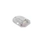 Arrester Comp Spar for Honda GX25T (GCALT), GX25T (GCANT) Engine - 18350 Z0H 800