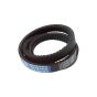 Strap for Loncin LC750 Tillers - OEM No. 193000018-0001