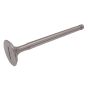 Valve Inlet/Exhaust to suit Lister Diesel Engines - 201 19360