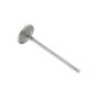 Intake Valve for Kohler SV590, SV600 Engine - OEM No. 20 017 01-S