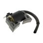 Ignition Coil Assy for Kawasaki GE2200A, GE2900A Generators - OEM No. 211712174