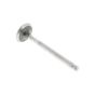 Inlet Valve for MAG 1029 SRL Engines