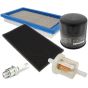 Maintenance Kit for Kawasaki FH381V, FH430V Engines