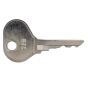 Plant Key - 285