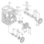 Camshaft, Driving Gear Assembly