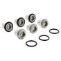 Intake Delivery Valve Kit for Interpump EH1413, EH1416 Pump - KIT123