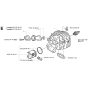 Cylinder Piston Assembly