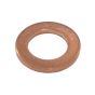 Seal Ring 5/9x1 fits Atlas Copco LP 9-20 Power Pack - 3377 0051 13