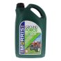 Engine Oil 10/40 5 Litre for Morris Lubricants