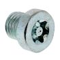 Screw Plug for Stihl FS500, FS550 Clearing Saws - 4116 713 6500