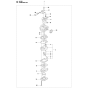 Carburetor Assembly for 443RB
