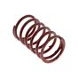 Engine Valve Spring for Kawasaki FC150V, FE120D, FE120G Engines - OEM No. 490787001