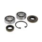 Seal Kit And Bearings for Husqvarna 129C, 129L, 129LK Trimmers - OEM No. 501 85 62-01