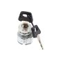 Key Switch for Lombardini 15LD,225 Engines - 5041.020