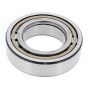 Cylindrical Roller Bearing for Wacker DPU80, DPU90 Plate Compactors - 5100013880