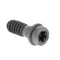 Screw Itxscft for Husqvarna 545, 550XP, 555, 556 Chainsaws - 525 79 81-01