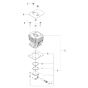 Cylinder Piston Assembly