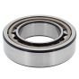 Bearing Roller for Belle RPC35, RPC45, RPC55, RPC60 Compactors - 53/0017