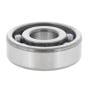 Worm Shaft Bearing (Oct 2004 onwards) for Belle Minimix 150 - 53/0032