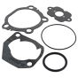 Gasket Set for Husqvarna PPB100, PPB300 Trimmers - 530 07 14-01