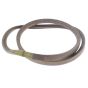 Belt fits Husqvarna T50 RS Cultivators/Tillers - 544 24 40-01