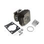 Kit &Cylinder for Husqvarna 129R,129RJ, 325R Brushcutters - 545 00 80-91