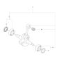 Crankshaft Assembly for 562XPG
