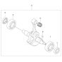 Crankshaft Assembly for 590BFS