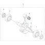Crankshaft Assembly for 590BTS
