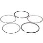 Ring Set for Makita BBX7600 Leaf Blower & PM7651H Mist Blower - 5972003000