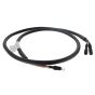 Common Wiring Harness for Belle Belle PT Range Pro Trowels - 71/0245