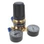 SIP Brass Regulator for Argonshield large gas bottles suitable for welding